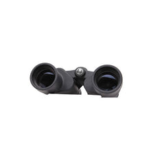 Load image into Gallery viewer, 10x42 Black Porro Bak-4, Wp-fp, Box 6 L