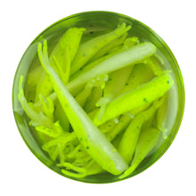 Load image into Gallery viewer, Gajmi1-cs Ga Minnow 1in Chart Shad Ld