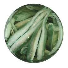 Load image into Gallery viewer, Gajmi1-es Ga Minnow 1in Emrld Shiner Mm
