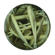 Load image into Gallery viewer, Gajmi1-smlt Ga Minnow 1in Smelt Pk