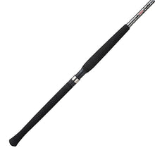 Load image into Gallery viewer, Bcs902l Ber Crappie Series 9ft 2pc Lt