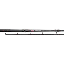 Load image into Gallery viewer, Rambw2040c70lb-rampage 20-40 7ft Cnv