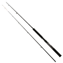 Load image into Gallery viewer, Chsp102l Skp Crappiehntr Rod 10ft 2pc L
