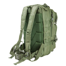 Load image into Gallery viewer, Small Backpack-green