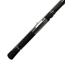 Load image into Gallery viewer, Sd10l-2,mr. Crappie Slab Daddy 2pc Rods