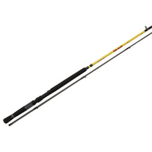 Load image into Gallery viewer, Sd9l-2,mr. Crappie Slab Daddy 2pc Rods