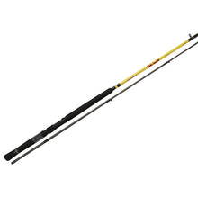 Load image into Gallery viewer, Sd9l-2,mr. Crappie Slab Daddy 2pc Rods