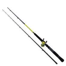 Load image into Gallery viewer, Sdc12-2, Slab Daddy Jig - Troll  Combo