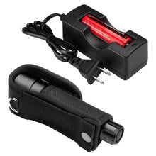 Load image into Gallery viewer, 800 Lum. Flashlight