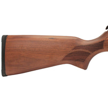 Load image into Gallery viewer, Model 95 Combo .177 Walnut