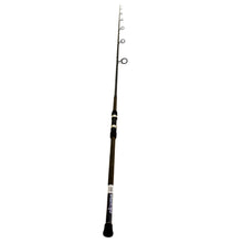 Load image into Gallery viewer, Longitude Surf Spin Rod 10' H 2pc