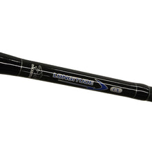 Load image into Gallery viewer, Longitude Surf Spin Rod 10' H 2pc