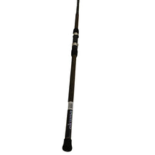 Load image into Gallery viewer, Longitude Surf Spin Rod 10' H 2pc