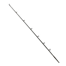 Load image into Gallery viewer, Longitude Surf Spin Rod 12' H 2pc
