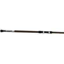 Load image into Gallery viewer, Longitude Surf Spin Rod 12' H 2pc