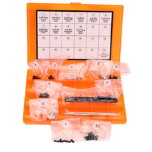 Load image into Gallery viewer, Master Gunsmith Plug Screw Set