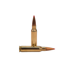 Load image into Gallery viewer, 7mm-08rem 139gr Sst -20