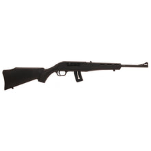 Load image into Gallery viewer, Blaze 22lr 16.5" Blue-syn 11rd