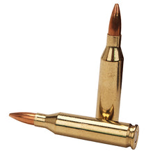 Load image into Gallery viewer, 243win 95gr Terminal Shock -20