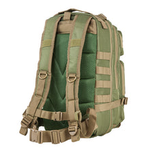 Load image into Gallery viewer, Vism Small Backpack-green With Tan Trim