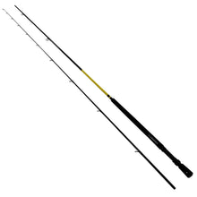Load image into Gallery viewer, Cgr12l-2,mc Custom Rrs Graphite Rods
