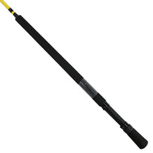Load image into Gallery viewer, Cgr12l-2,mc Custom Rrs Graphite Rods