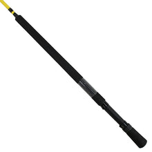 Load image into Gallery viewer, Cgr10l-2,mc Custom Rrs Graphite Rods
