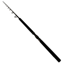 Load image into Gallery viewer, Sct-rr-701xxxxh Sct Boat Rod