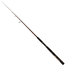 Load image into Gallery viewer, Sst-s-761m-cg Sst Carbon Grip Rod