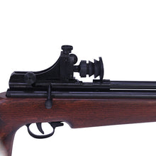 Load image into Gallery viewer, Sag Co2 .177 Airrifle Th Stock 650 Fps