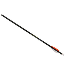 Load image into Gallery viewer, Omni-brite 2.0 Lighted 20"pe Carbon,72-pk