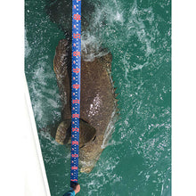 Load image into Gallery viewer, Cuda 120" Fish Measure