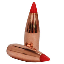 Load image into Gallery viewer, 20 Cal .204 40gr V-max -100