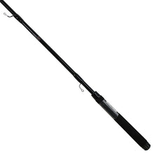Load image into Gallery viewer, Lbs10,wm Rods,lew's Bream Stick Dippin