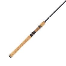 Load image into Gallery viewer, Diamond Series Graphite Rod 6'6" 2 Pc M