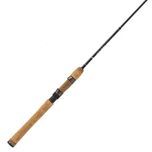 Load image into Gallery viewer, Diamond Series Graphite Rod 6' 2pc L