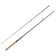 Load image into Gallery viewer, Diamond Series Graphite Rod 8' 2 Pc H