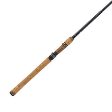 Load image into Gallery viewer, Diamond Series Graphite Rod 8' 2 Pc H