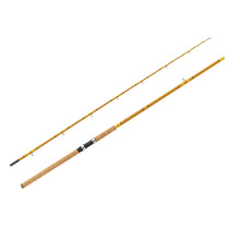 Load image into Gallery viewer, Crafted Glass Casting Rod 10'' 2 Pc H