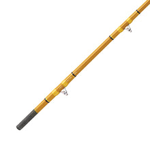 Load image into Gallery viewer, Crafted Glass Casting Rod 10'' 2 Pc H