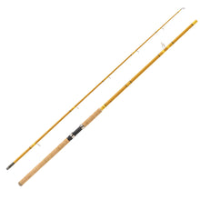 Load image into Gallery viewer, Crafted Glass Spinning Rod 10' 2 Pc H