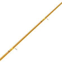 Load image into Gallery viewer, Crafted Glass Spinning Rod 10' 2 Pc H