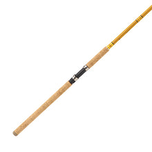 Load image into Gallery viewer, Crafted Glass Spinning Rod 10' 2 Pc H