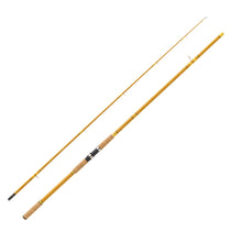 Load image into Gallery viewer, Crafted Glass Spinning Rod 13' 2 Pc H