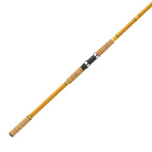 Load image into Gallery viewer, Crafted Glass Spinning Rod 13' 2 Pc H