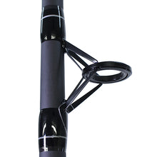 Load image into Gallery viewer, Big Cat 80-102mh Spin Combo
