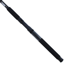Load image into Gallery viewer, Big Cat 9'0" 2pc Mh Cast Rod