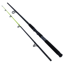 Load image into Gallery viewer, Big Cat 9'0" 2pc Mh Spin Rod