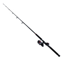 Load image into Gallery viewer, Fin Nor Mega Lite 60sz 701mh Spin Combo
