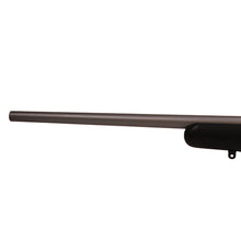 Load image into Gallery viewer, Cz 455 American Ss 22lr Blk Stk